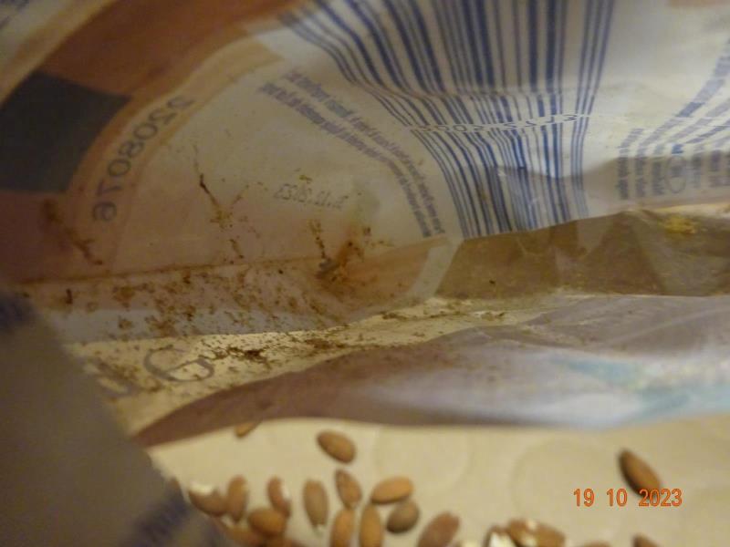 Illustrative photo no. 5