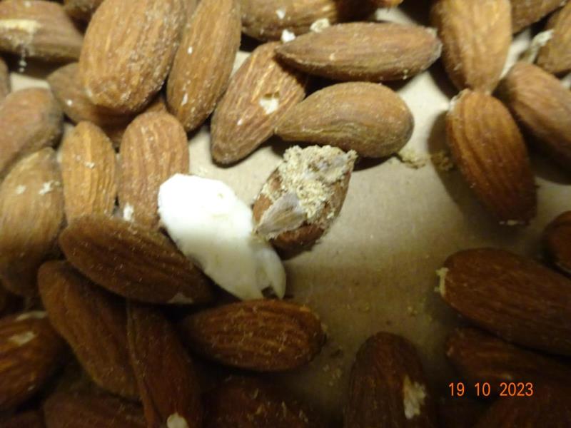 Illustrative photo no. 3