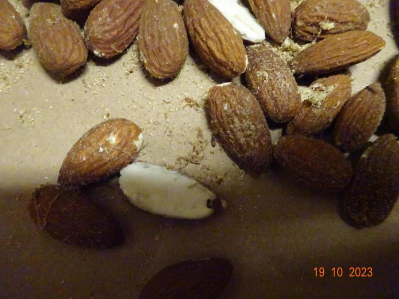 Illustrative photo no. 2