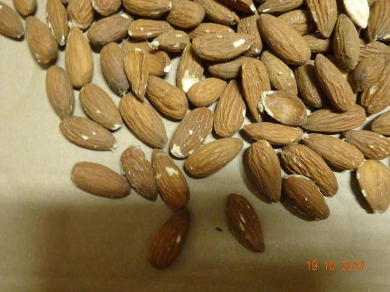 Illustrative photo no. 6