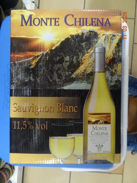 Sauvignon Blanc, bílé suché víno, víno ze Španělska, alk. 11,5 % obj.