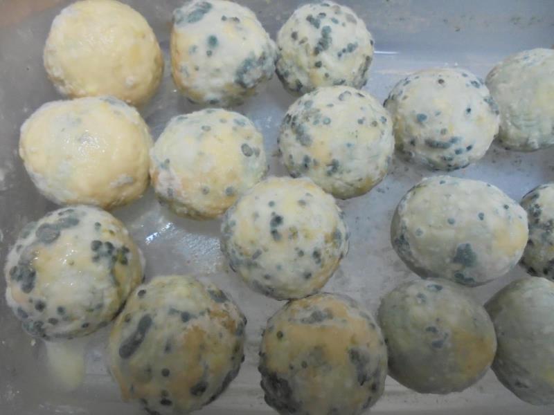 Ilustrační fotografie č. 2