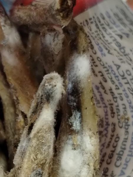 Octopus Sardele Commersonovy-vykuchané, sušené a solené