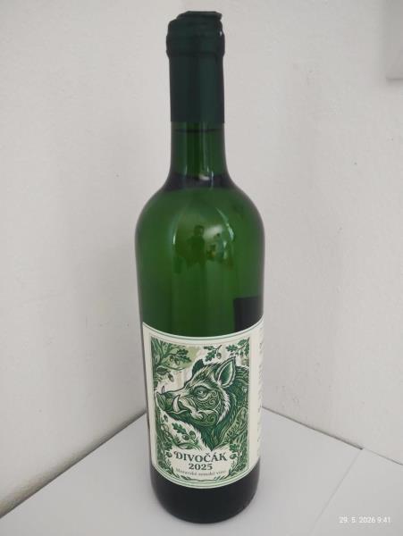 DIVOČÁK, moravské zemské víno, 2025, suché, alk. 12,5% obj.