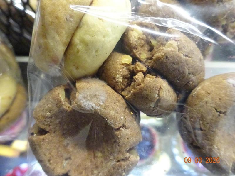 Ilustrační fotografie č. 2