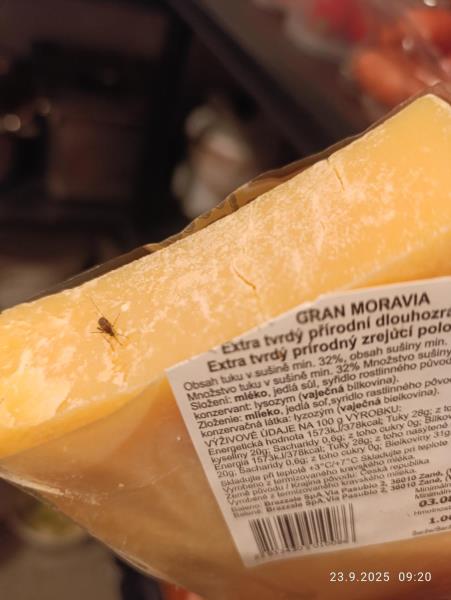 Ilustrační fotografie č. 2