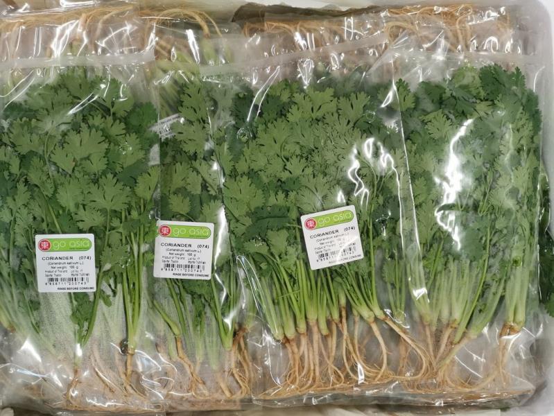CORIANDER (074); (Coriandrum sativum L.)