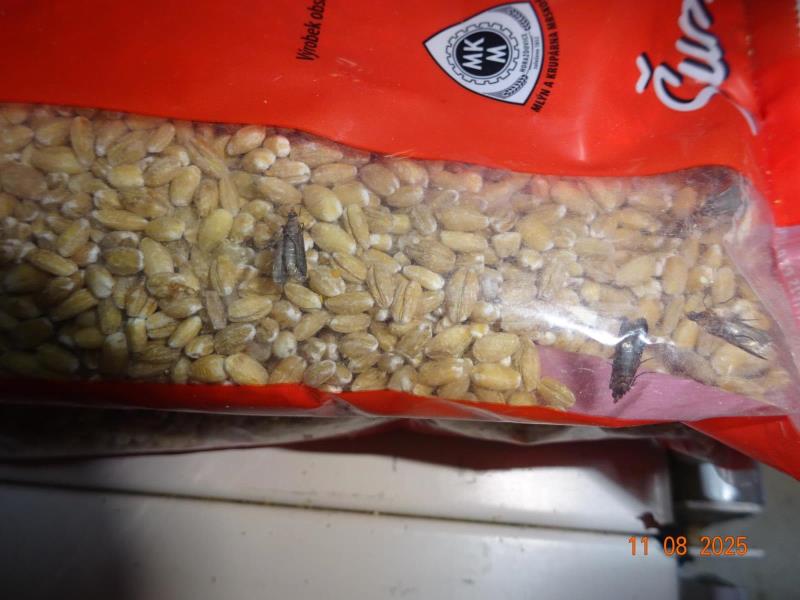 Šumavské kroupy ZABIJAČKOVÉ ječné