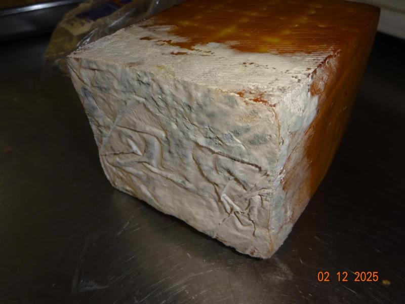 Ilustrační fotografie č. 3