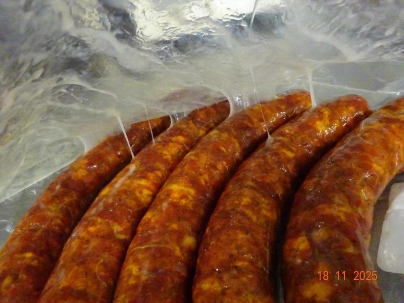 Ilustrační fotografie č. 4