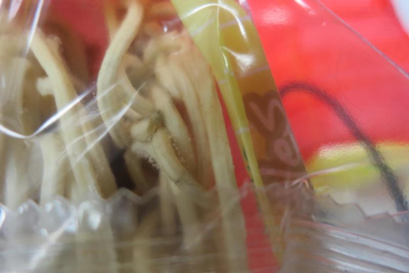 Ilustrační fotografie č. 8