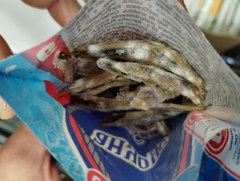 Illustrative photo no. 5