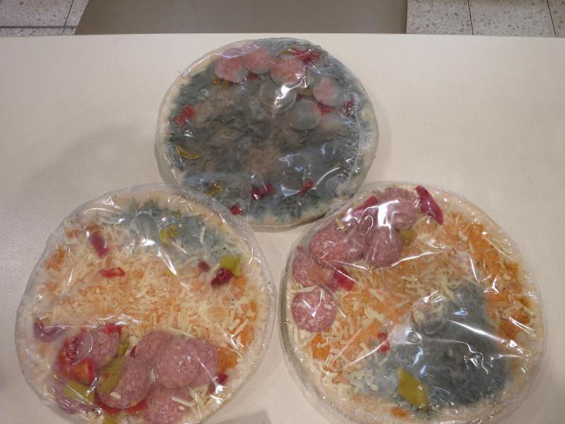 Ilustrační fotografie č. 4