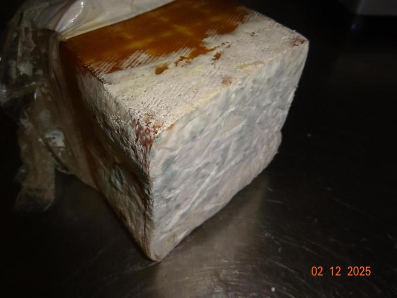 Ilustrační fotografie č. 2