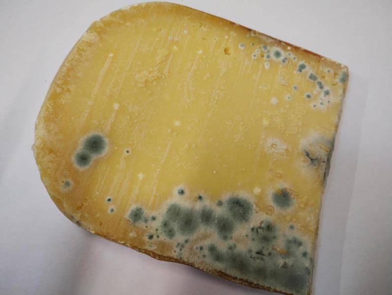 Ilustrační fotografie č. 8