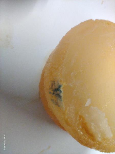 Illustrative photo no. 3