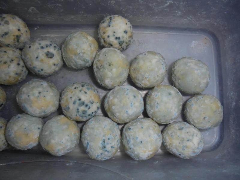 Ilustrační fotografie č. 4