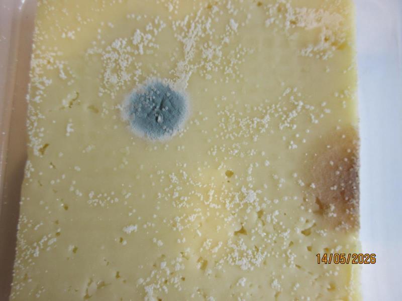 Illustrative photo no. 7