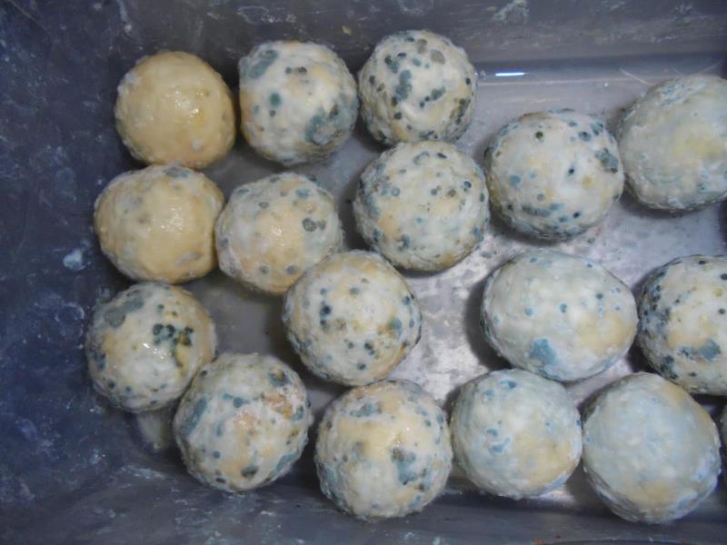 Ilustrační fotografie č. 5