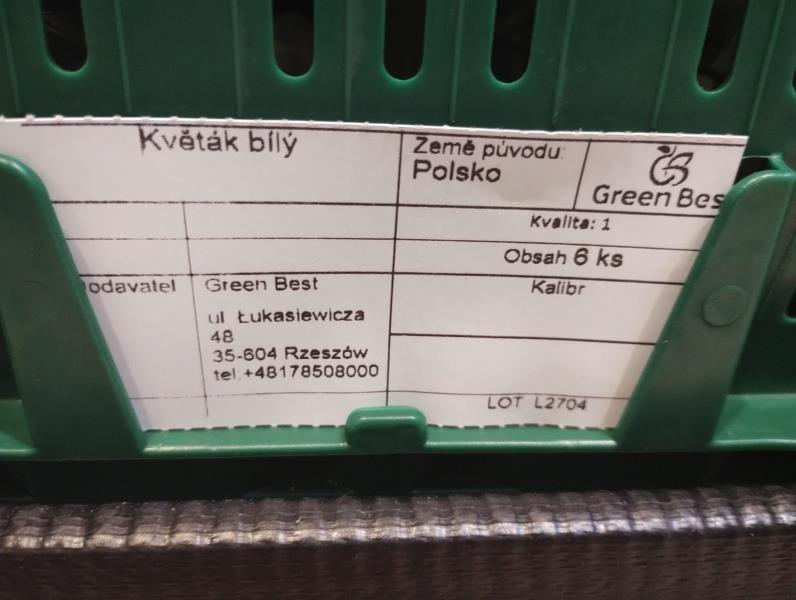 Ilustrační fotografie č. 2