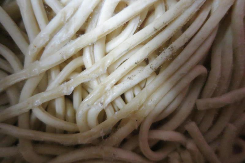 Ilustrační fotografie č. 16