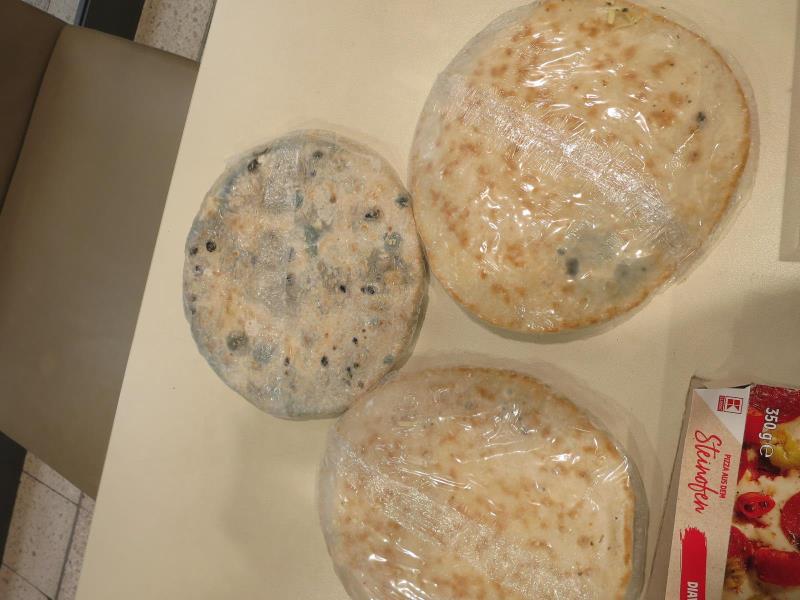 Ilustrační fotografie č. 5