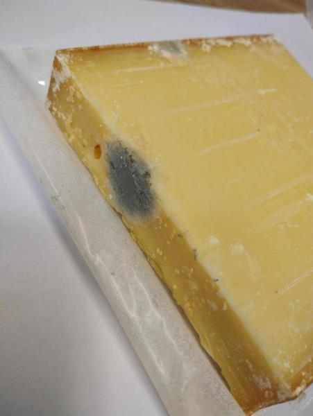 Ilustrační fotografie č. 6