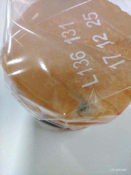 Illustrative photo no. 6