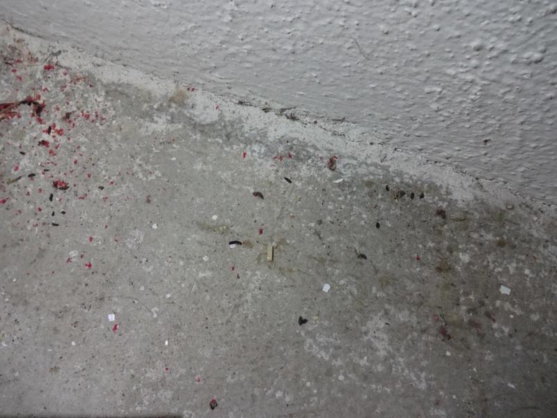 Illustrative photo no. 2