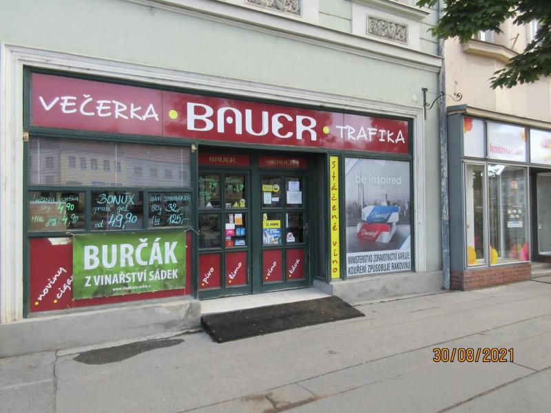 Ilustrační fotografie č. 1