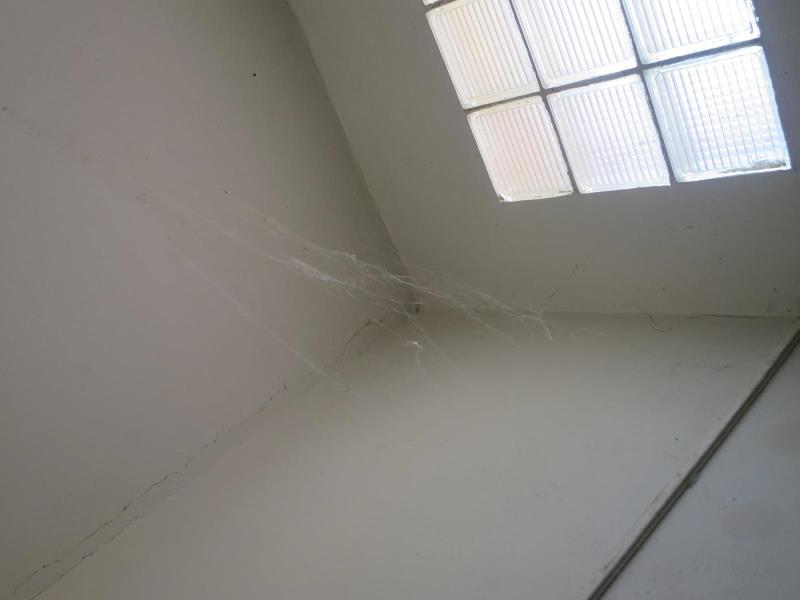 Illustrative photo no. 8