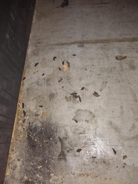 Ilustrační fotografie č. 13