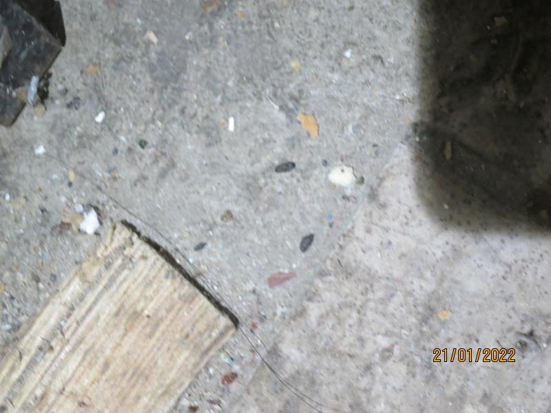 Illustrative photo no. 9