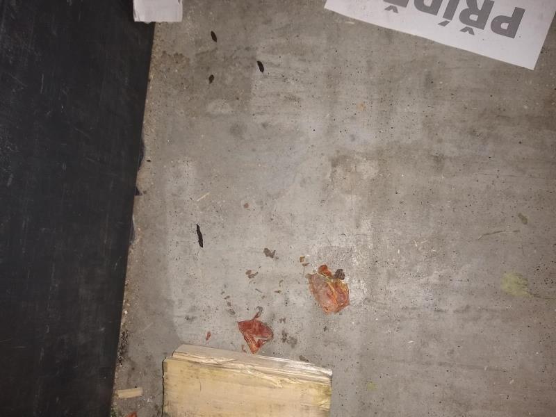 Ilustrační fotografie č. 12