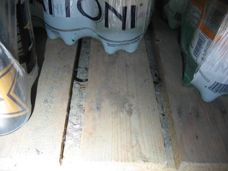 Illustrative photo no. 7