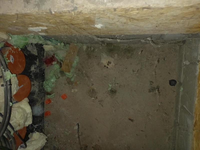 Ilustrační fotografie č. 6