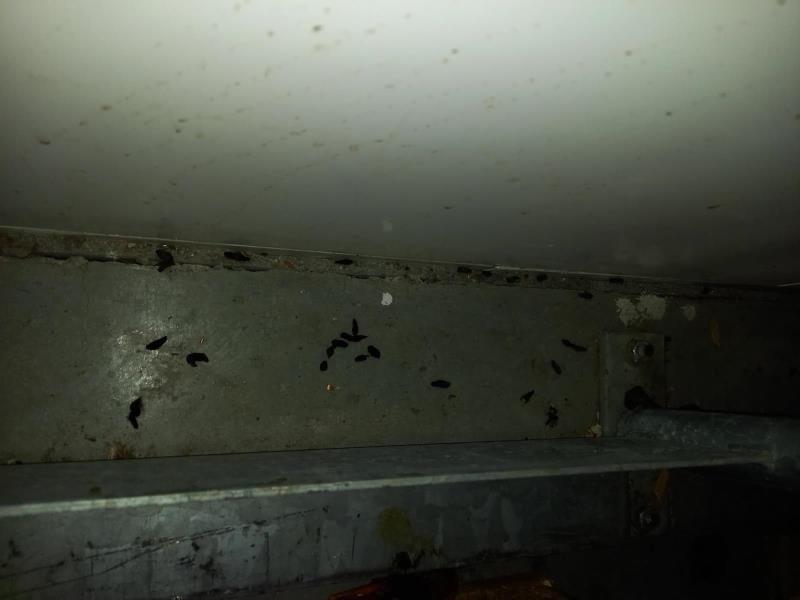 Ilustrační fotografie č. 9