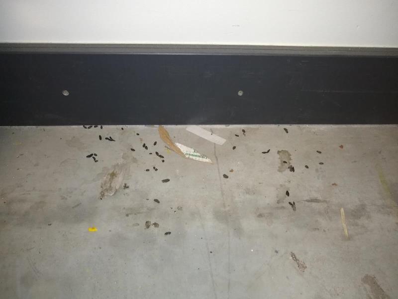 Ilustrační fotografie č. 18