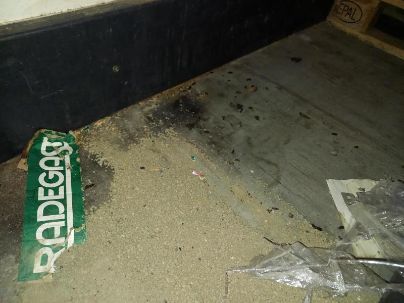 Ilustrační fotografie č. 5