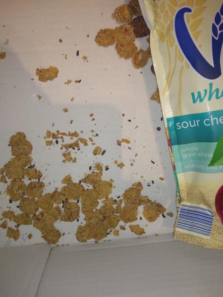 Ilustrační fotografie č. 14