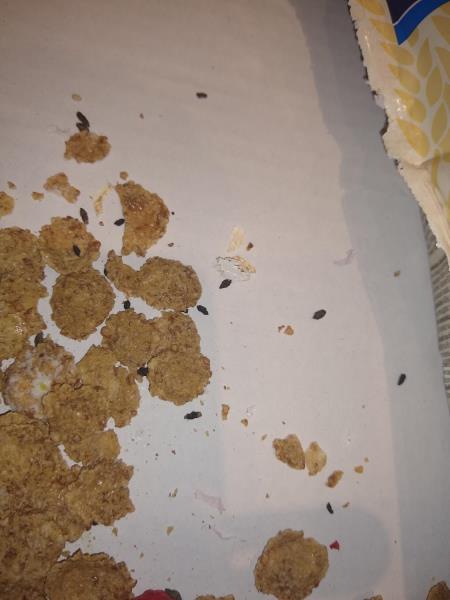 Ilustrační fotografie č. 15