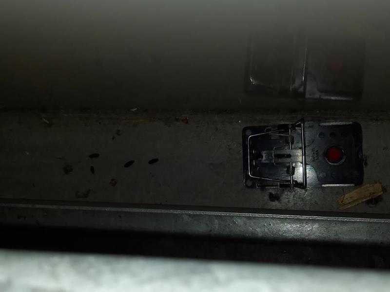 Ilustrační fotografie č. 10