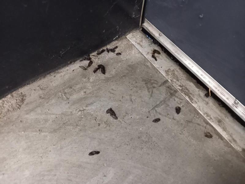 Ilustrační fotografie č. 2