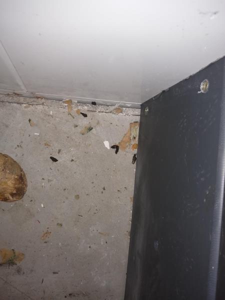 Ilustrační fotografie č. 16