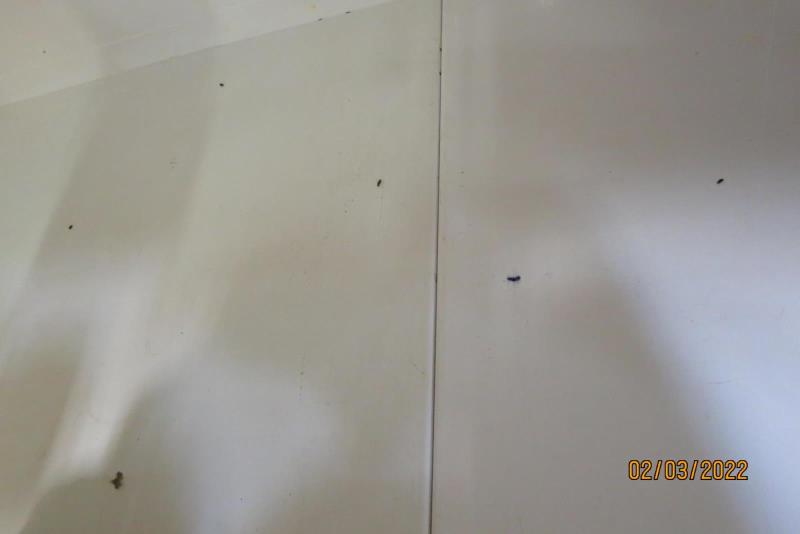 Illustrative photo no. 10