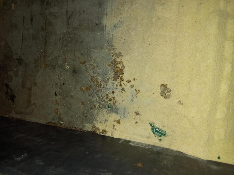 Ilustrační fotografie č. 4