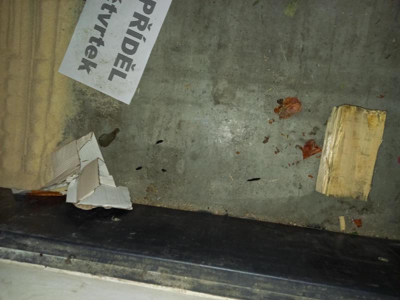 Ilustrační fotografie č. 3