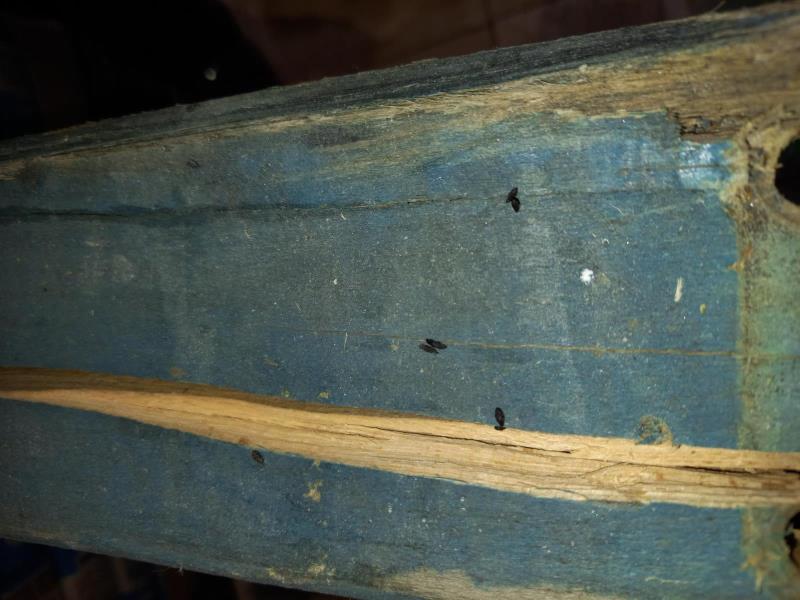 Ilustrační fotografie č. 7