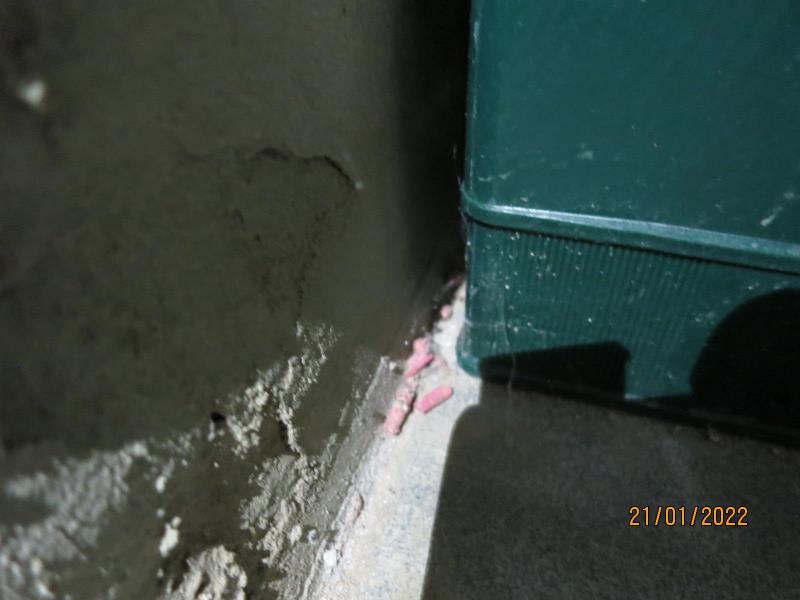 Illustrative photo no. 5