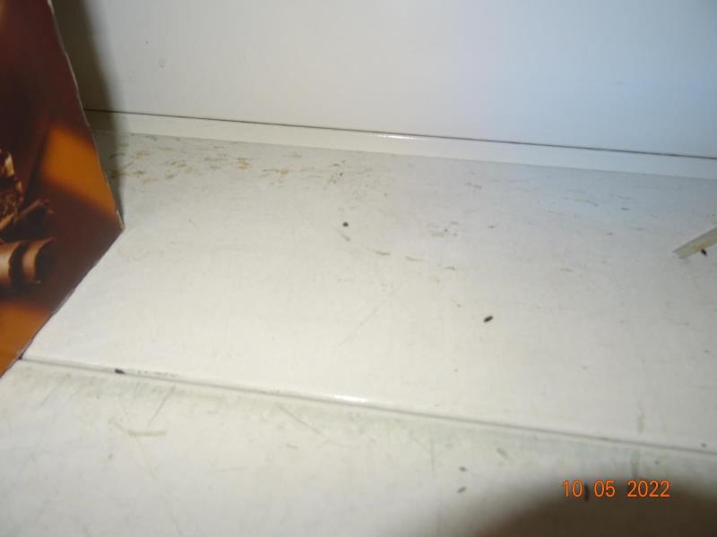 Illustrative photo no. 19
